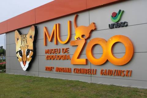 Montagem de nova exposição do Museu de Zoologia inicia em Criciúma