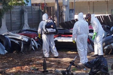Araranguá intensifica medidas de combate ao mosquito da dengue