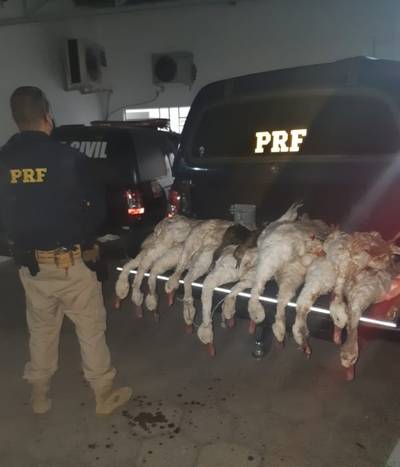 Caçadores são apreendidos com 14 aves abatidas e espingarda em Jaguaruna
