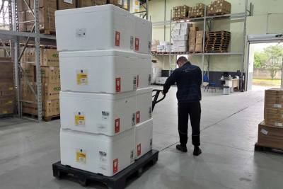 Santa Catarina inicia distribuição de mais 300 mil de doses e reforça pedido de vacinação contra a gripe