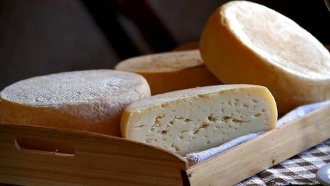 Santa Catarina regulamenta produção de queijo artesanal de leite cru 