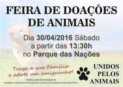 Feira de adoção de animais ocorre no Parque das Nações