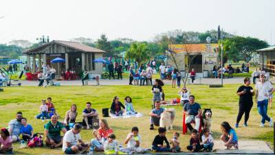 Teatro, música e diversão agitam primeiro Festival das Cores do Parque Diamante em Capivari de Baixo