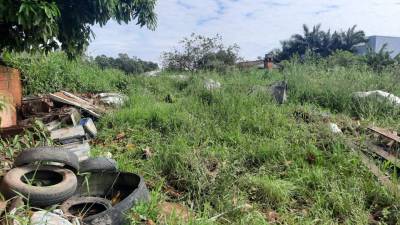 Vigilância Epidemiológica planeja ações contra a dengue