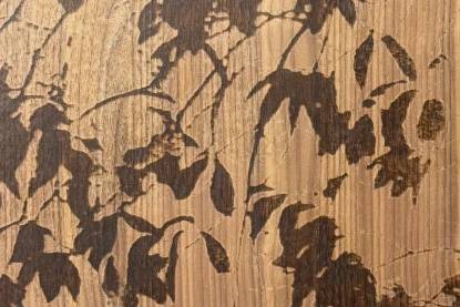 CERSAIE 2026 - um revestimento sensorial