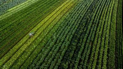 Governo do Estado investe R$ 77,4 milhões em programas de fomento agropecuário