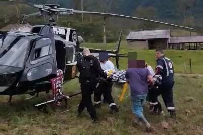 Queda de eucalipto deixa trabalhador ferido em Treviso