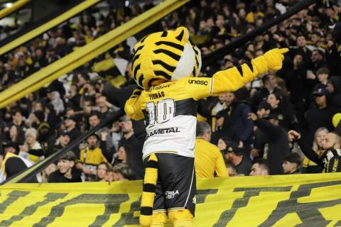 Tigre divulga serviço de jogo para próximo duelo no Heriberto Hülse