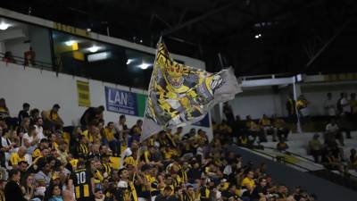 Sócios do Criciúma podem ganhar camisa oficial se pagarem mensalidades da carteirinha em 2026