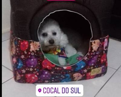 Procura-se Thor