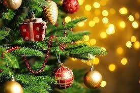 Parque recebe concerto para celebração de Natal