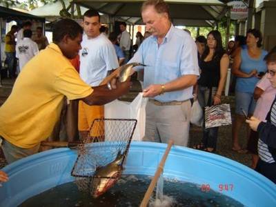 Cinco toneladas de peixe vivo em Içara