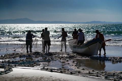 Lula grava vídeo sobre pesca da tainha em Santa Catarina: ‘vocês vão voltar a pescar’