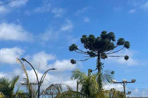 Domingo inicia com sol e temperatura alta, mas tem previsão de temporais e chuva forte