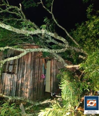 Tornado causa estragos e deixa desalojados em Praia Grande