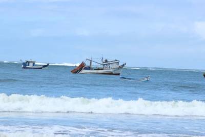 Experiências saborosas pela Rota da Baleia Franca