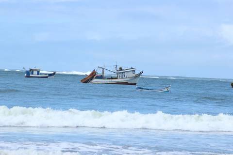 Experiências saborosas pela Rota da Baleia Franca