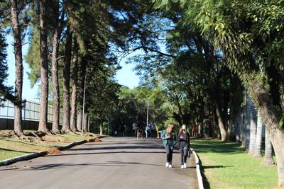 Satc completa 62 anos de histórias e transformações
