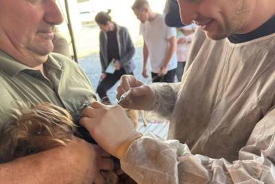 Morro da Fumaça iniciará campanha de vacinação contra a raiva e vermifugação