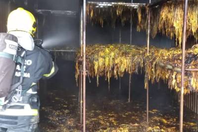 Bombeiros são acionados após estufa de fumo ser atingida por incêndio