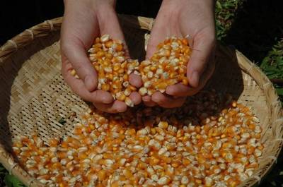 Estado investiu R$ 700 milhões em desenvolvimento rural