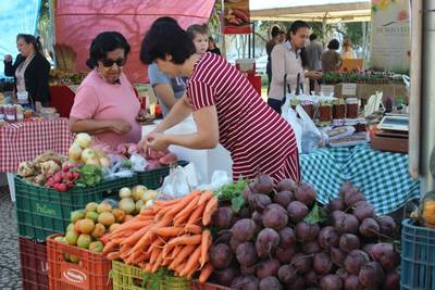 Biomassa de banana é novidade na Feira da Agricultura Familiar desta quinta-feira