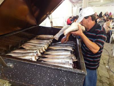 Mais de dois mil quilos de peixe vendidos na Festa do Peixe