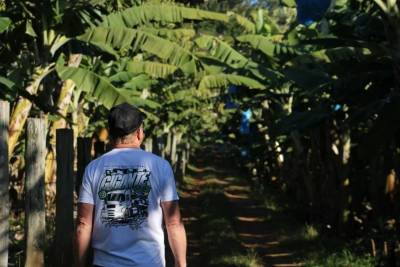 Inovação para produzir: agricultura familiar amplia investimentos para suprir mão de obra