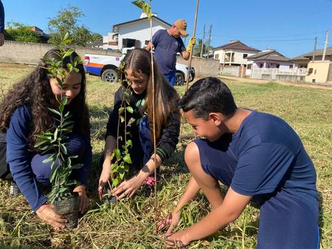 Alunos da Escola Dimer Pizzetti plantam 60 árvores nativas no bairro Liri
