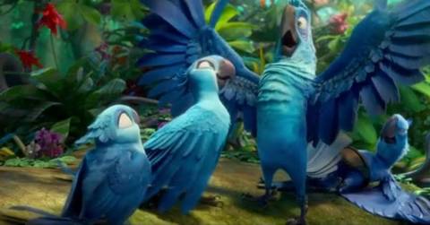 Rio 2 em 3D na tela do cinema da Multi