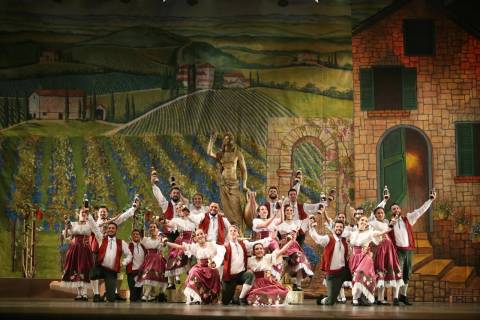 Tricampeão em Joinville, grupo de Nova Veneza volta ao maior festival de dança do mundo