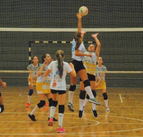 Vôlei feminino abre fase municipal do Jesc em Criciúma