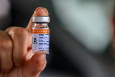 Mais 86,4 mil doses da vacina contra a Covid-19 chegam nesta quarta em Santa Catarina