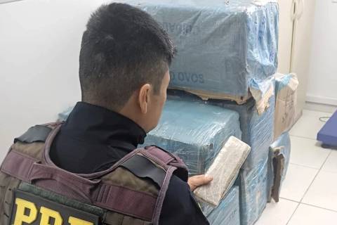 Fuga alucinada termina em prisão e apreensão de 319 quilos de maconha na BR-101