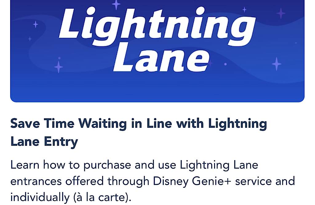 Frequently Asked Questions: Disney Genie+ and Lightning Lane Lightning Lane  