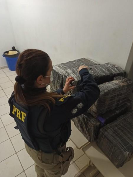 PRF apreende mais de meio milhão de reais em maconha na BR-280 em Araquari
