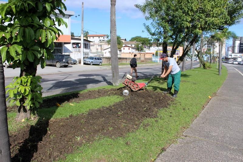 Em Criciúma, revitalização deixará avenidas floridas 