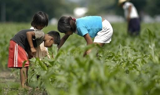 STJ aceita tempo de submissão ao trabalho rural infantil para calculo da aposentadoria.
