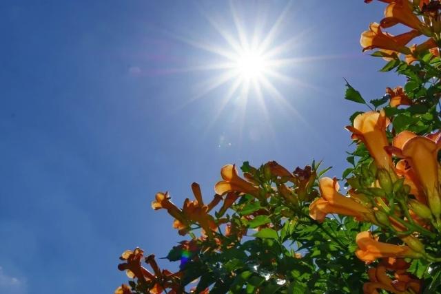 Primeiro fim de semana da primavera será de calor, com temperaturas de até 32°C em Criciúma