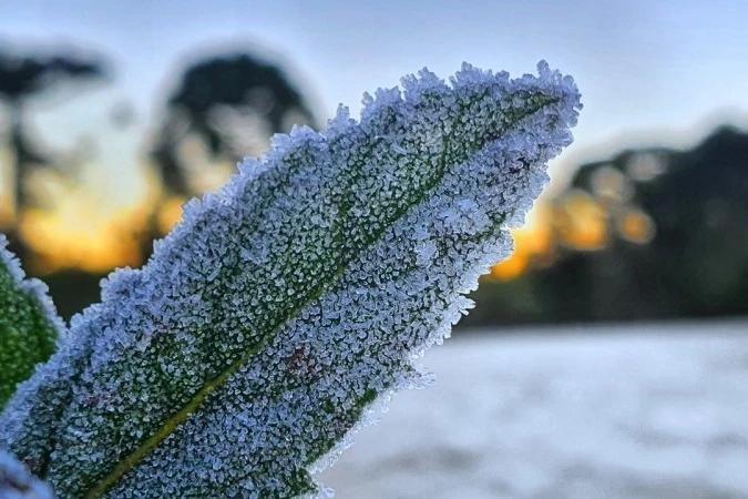 Defesa Civil alerta para frio intenso na próxima semana em Santa Catarina