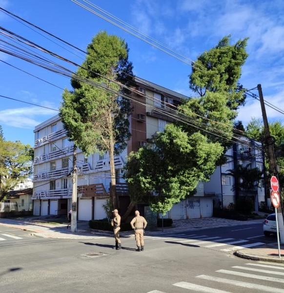 Árvore cai sobre fios no Centro de Criciúma