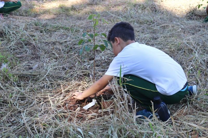 Alunos fumacenses realizam plantio de mudas de árvores nativas da Mata Atlântica