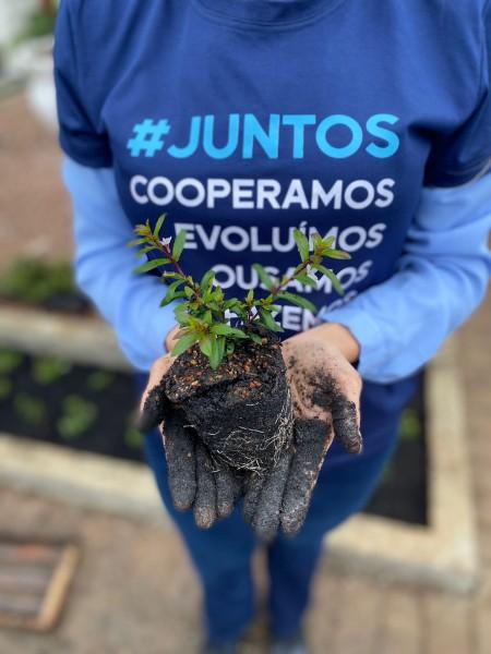 Ações sociais da Acentra impactam mais de 4 mil pessoas e 12 instituições na região Sul