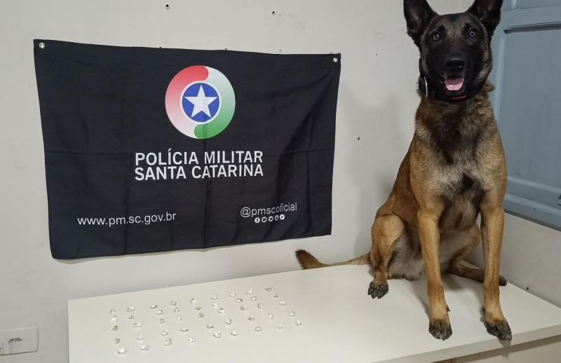 Araranguá: PM encontra pedras de crack enterradas em terreno baldio