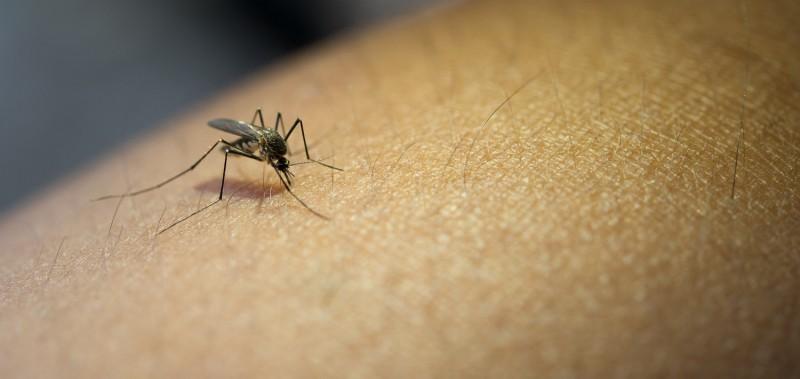 Programa Saúde nas Escolas inicia nesta quarta com ênfase no combate à dengue
