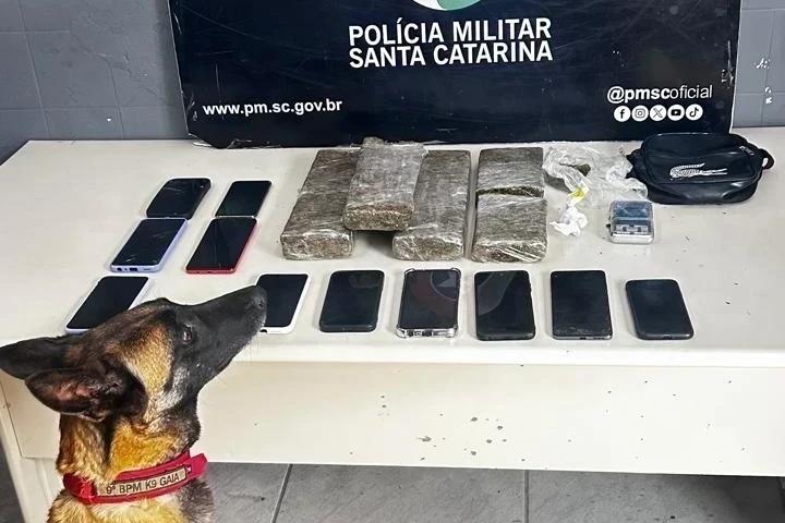 Polícia apreende mais de três quilos de maconha, cocaína e celulares em condomínio de Criciúma