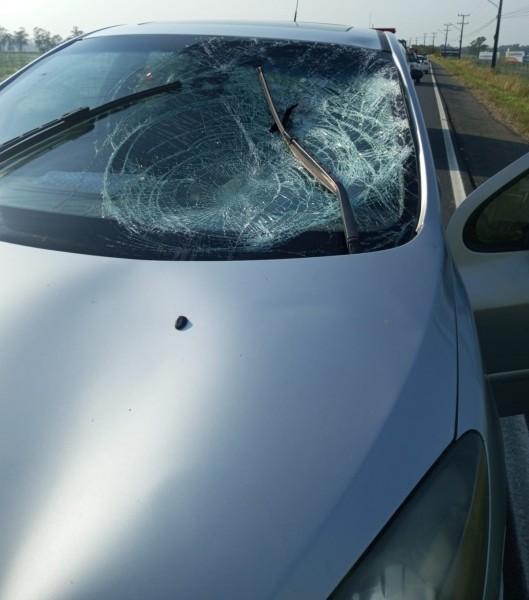 Ciclista morre após colidir contra veículo na SC-449 