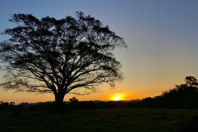 Outubro com cara de inverno: Serra catarinense amanhece com frio intenso nesta sexta-feira