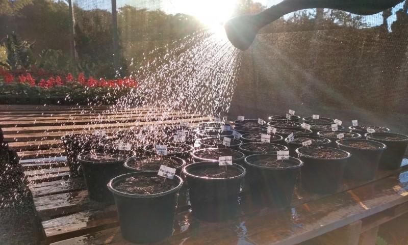 Crise dos fertilizantes: Pesquisadores da Satc avançam estudos no conceito Agro 4.0 