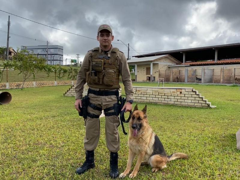 Cão da Polícia Militar de Criciúma morre aos sete anos 